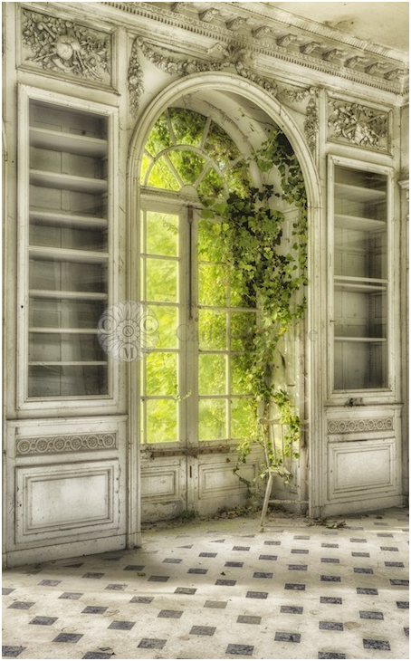 abandoned, window, overgrown, cornice, restoration